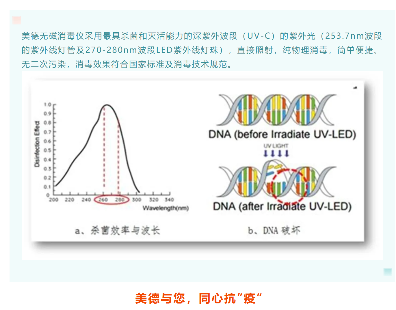 1628842996184046.png 4.png