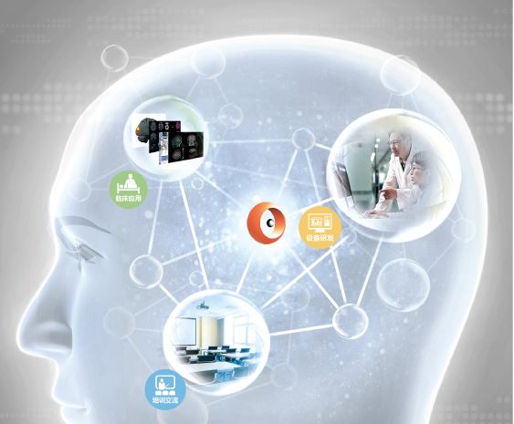 1676347639552140.jpg 大脑图.jpg