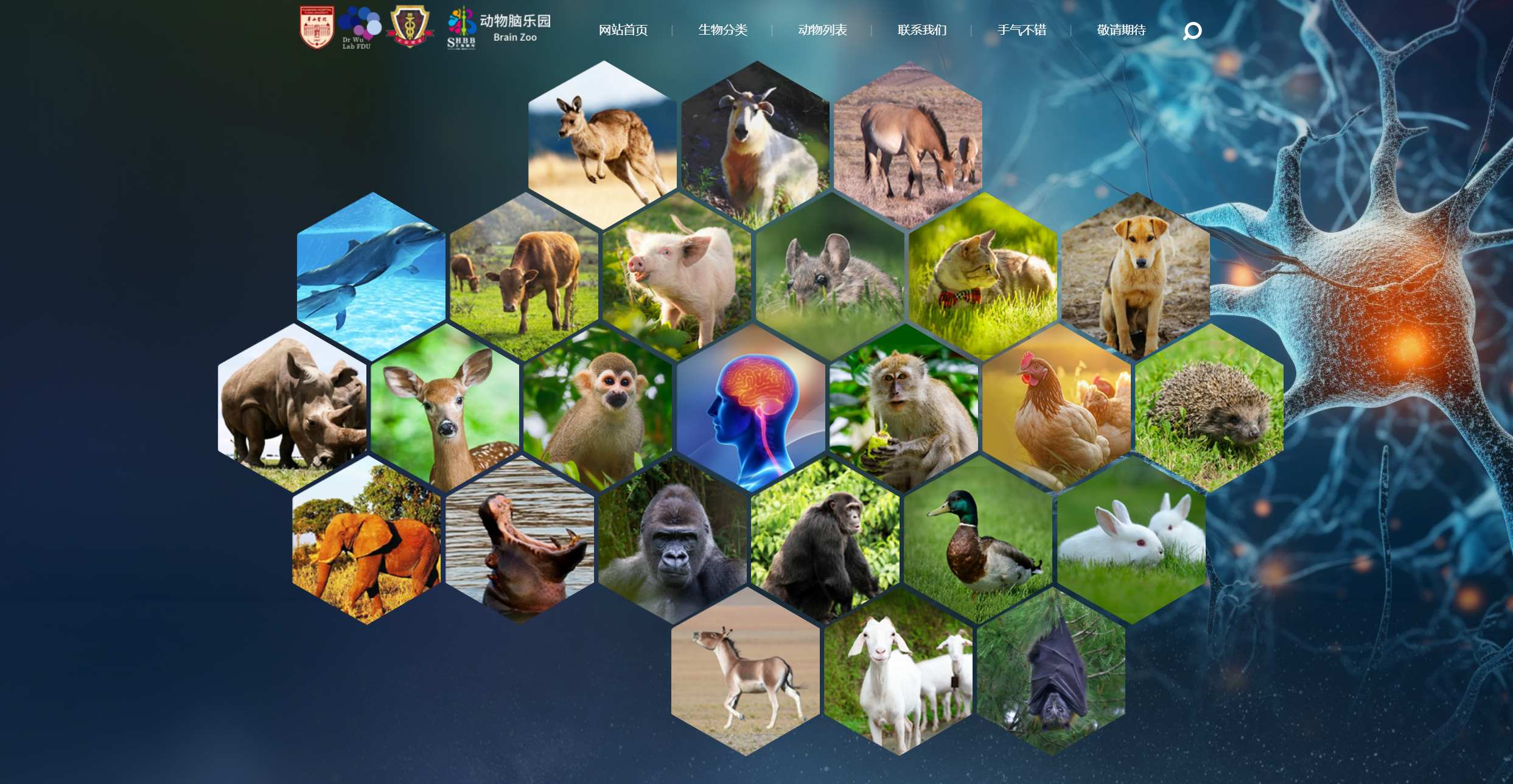 1720496969503342.jpg 微信图片_20240709092546.jpg