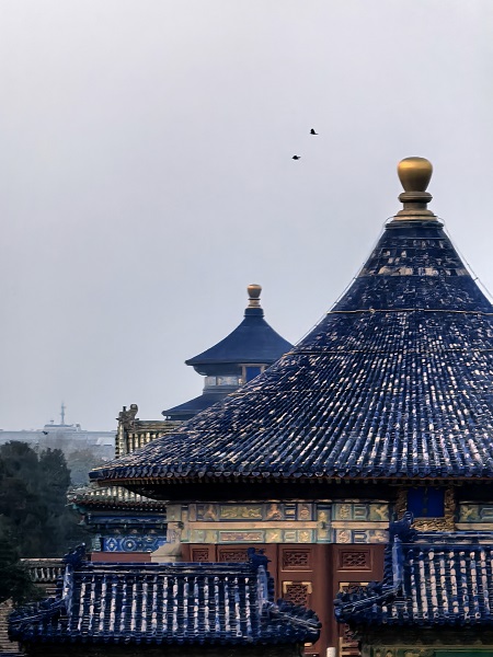 1733190266536262.jpg 天坛.jpg