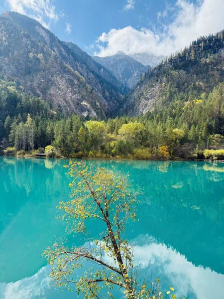 1761882048144629.jpg 九寨沟的水.jpg